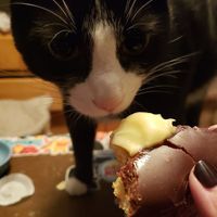 Even my little guy was impressed. at Wongz Donutz in Winchester