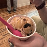 Cherry oat ice cream in no sleep till Brooklyn   at Analog in Sister Bay