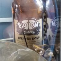 Dog friendly drinks at The Apothecary Cafe in Newcastle Upon Tyne