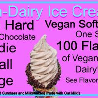 Over 100 flavors of vegan soft serve. Made to order! at Cindy's Drive In in Granby