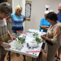 Green Leaf Worm Farm brings in microgreens to share with the group. at Venice Holistic Community in Venice