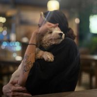  at Tin Tin Pizzas in Phu Quoc