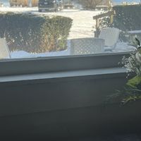   at Bloodroot in Bridgeport