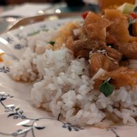  at Bloodroot in Bridgeport