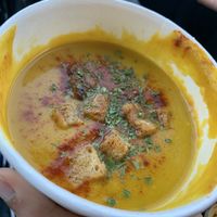 Butternut squash soup. Solid   at Plant in Oklahoma City