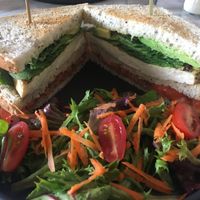 Tofu Club (served with salad) - delicious!  at Marmalade in Merida
