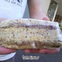 Weird but awesome sprouty pate sandwich thing. at Karmavore in New Westminster