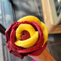 Sorbet flower at Amorino - Carmelitas in Porto