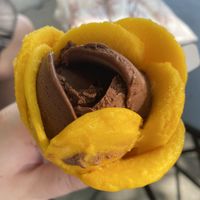 Mango and chocolate sorbet   at Amorino - Carmelitas in Porto