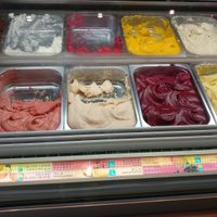 These are all Vegan flavors at Amorino - Carmelitas in Porto