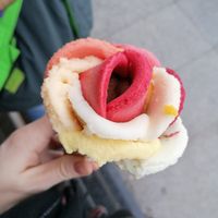 All 8 different vegan ice cream flavours at Amorino - Carmelitas in Porto