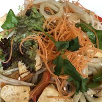 Classic Udon fried noodles with tofu  at Wudon in Glasgow