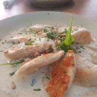 Ukrainische Teigtaschen mit 'Frischkäse und Parmesan' mit Pinienkernen at Doppeltsolecker in Dortmund