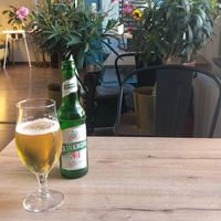 Corner seat with comfy pillows and lots of plants to go with the beer at Doppeltsolecker in Dortmund