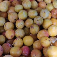 Mirabelles at Biocoop Parmentier in Paris