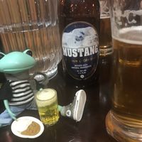 Nepalese Beer at The Mustang in Farrer