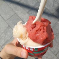 Grapefruit und Erdbeer-Minze-Mohn at Moritz Eis in Cluj-napoca