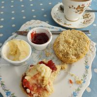  at Cafe Cloud in Newquay