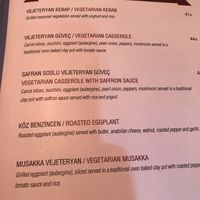 Menu, mousaka can be made vegan (without cheese) at Babylonia in Istanbul
