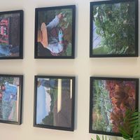 Pics from their farm!  at HJ Farm/Hajun Farm in Suwanee