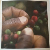   at Café GUTTUT in Dortmund