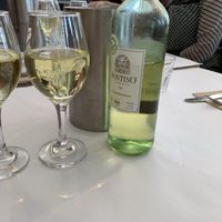 Vegan wines! at Caruso's in Gymea