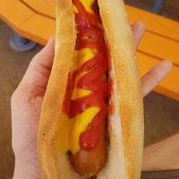 Not Dog at Legoland in Windsor