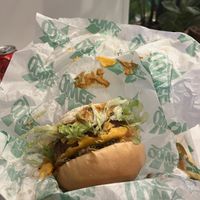   at Oowee - Picton in Bristol