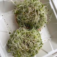 The works without bacon  at The Sprout Kitchen in St Augustine