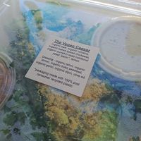   at The Sprout Kitchen in St Augustine