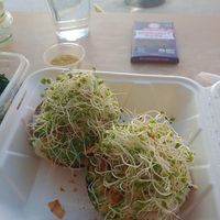 Bagels and sprouts  at The Sprout Kitchen in St Augustine