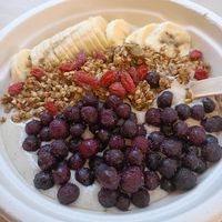 Probiotic Bowl at The Sprout Kitchen in St Augustine