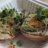 The Works vagel at The Sprout Kitchen in St Augustine