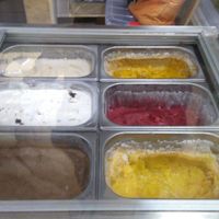 Amazing ice cream at Elysian Delights - Ethigreenz in Gurugram