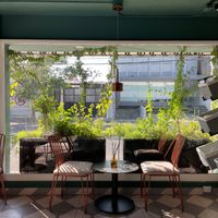  at VegCo Restaurante Vegano in Queretaro