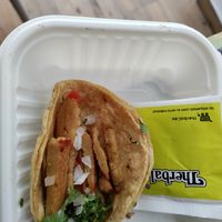 Taco barely larger than a teabag at VegCo Restaurante Vegano in Queretaro