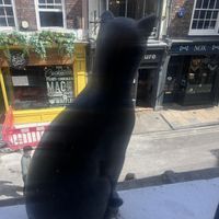   at Goji Vegetarian Cafe and Deli in York