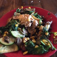Vegan bowl with vegan aioli  at Coyote Kitchen in Boone