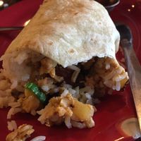 Vegan burrito ( large portion)  at Coyote Kitchen in Boone