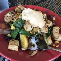 Nomad vegan bowl- delicious!! at Coyote Kitchen in Boone