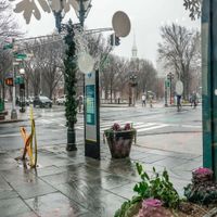 view out the window onto Chapel St and New Haven Green on a rainy early Sunday morning at Claire's Corner Copia in New Haven