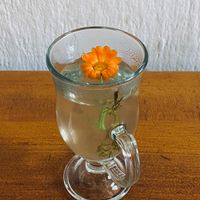 Tea at Quinua y Amaranto in Bogota