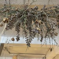   at Pacífico in Ourense