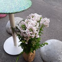  at Green 13 - Lvivska Square in Kyiv