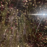   at Aria Hotel - CATCH in Las Vegas