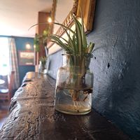  at The Jackdaw in Denton