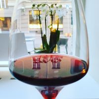 wine. bio. vegan at Ragu in Helsinki