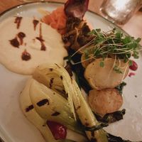  at De Levensboom in Hasselt