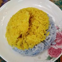 Ying yang rice at Coco Veggie Nonya Cuisine 椰素林 in Central Singapore