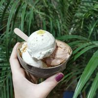 Coconut, pistachio, chocolate at Coconut Glen's in Tokyo